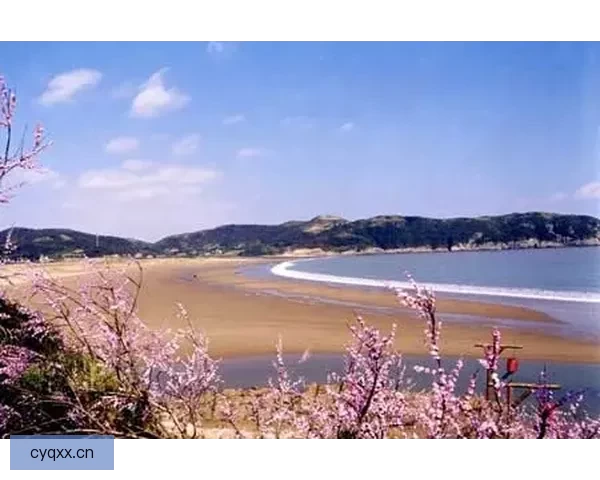 杨成友的海角：梦想起航的金色沙滩，故事栖息的蓝色港湾